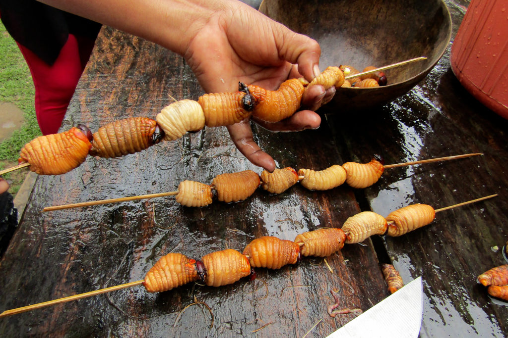 Saberes Y Sabores Ticuna Ibercocinas